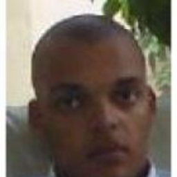 Ricardo Correia Silva