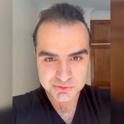 alireza goudarzi