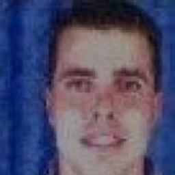 Jose Armando Ferreira Araujo
