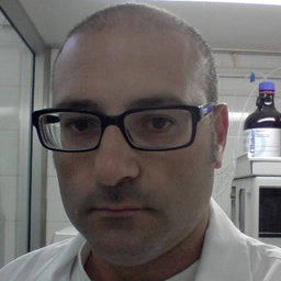 ALESSANDRO ALESI