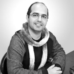 Ing. Mani Malekizadeh