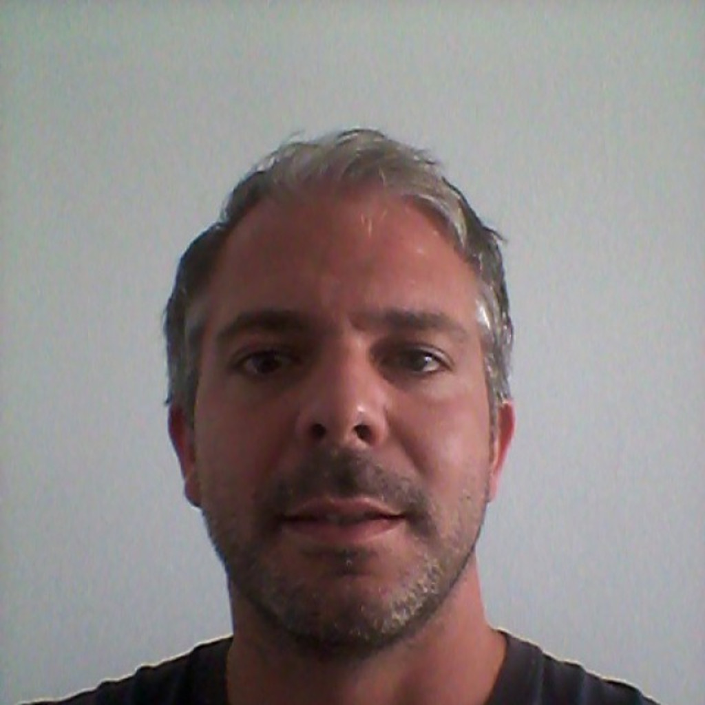 Dipl.-Ing. Lars Holl - Abteilungsleiter - e- netz Südhessen | XING