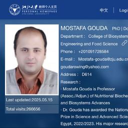 Mostafa Gouda