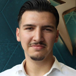 Mert Erdem