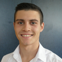 Manuel Andris