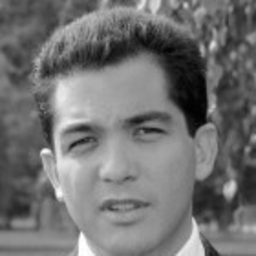 Michel Huguenin