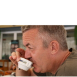 Ralf Schmidt