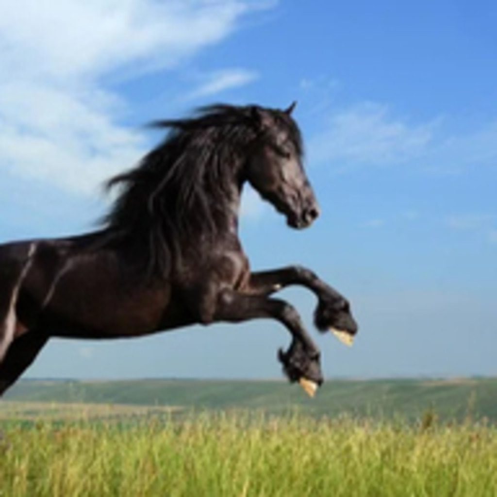 Hadi Daaboul Energy management TUBerlin XING