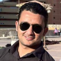 Tamer Abdelaziz