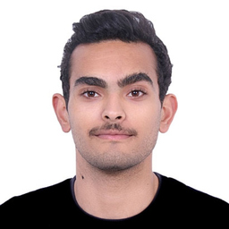Mohamed Ben Ismail