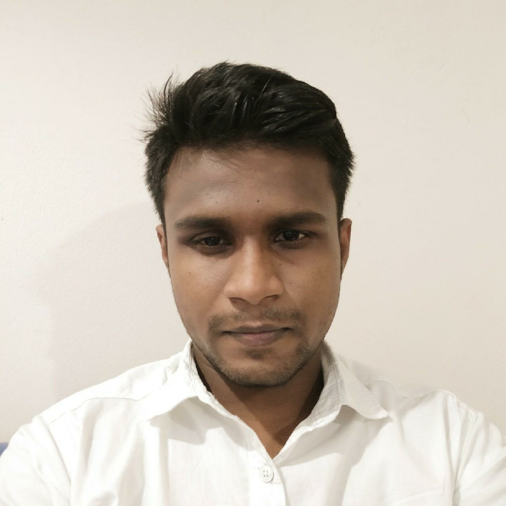 Faysal Ahmed Junior Software engineer Themepixel XING