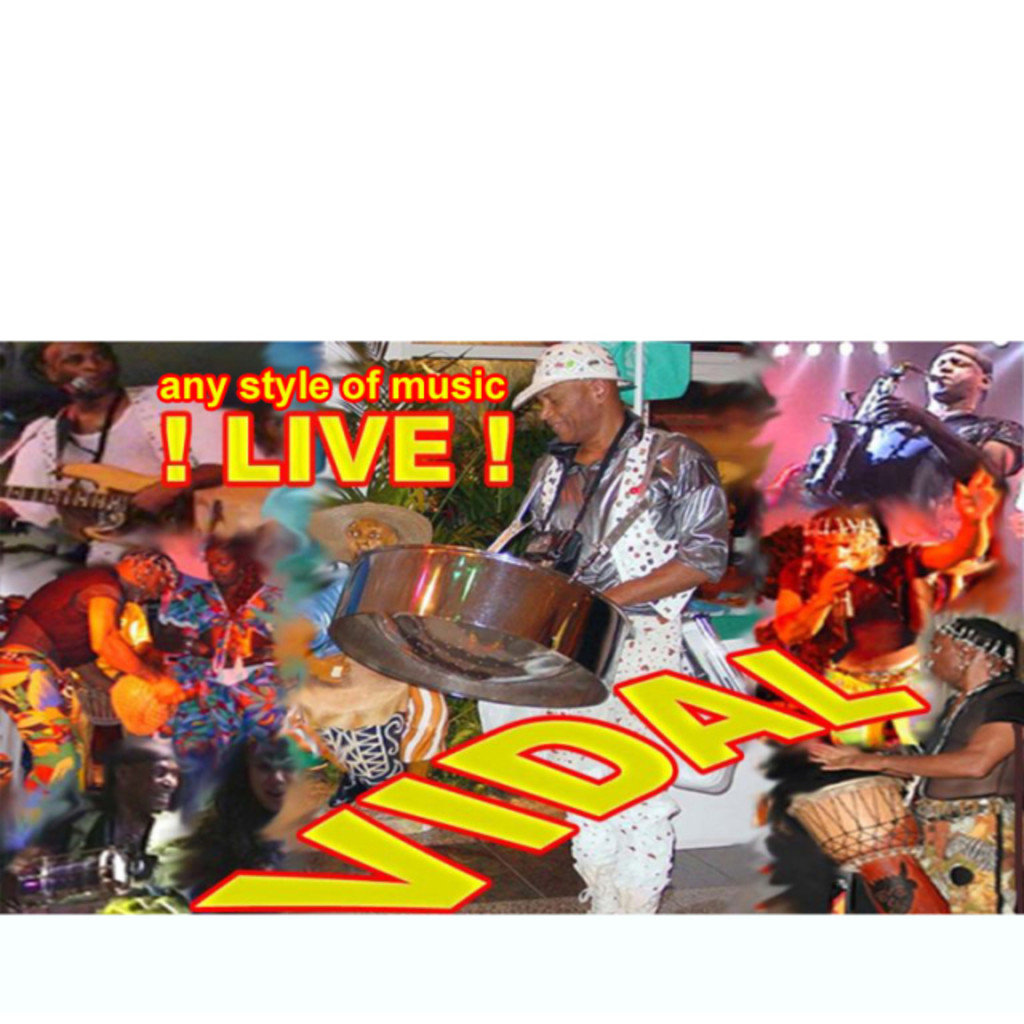 VIDAL VIDAL CHEFE XING