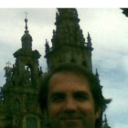 Luis Fernandez
