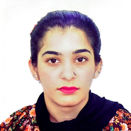 Sajal Nasir