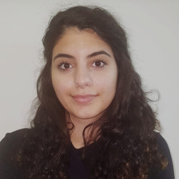 Didem Er