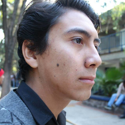 Luis Javier Aguilar Delgadillo