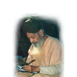 Ahmed Molvi's profile picture