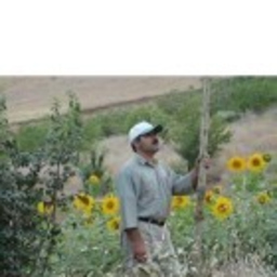 Jama Saed