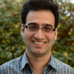 Mohsen Lotfizad