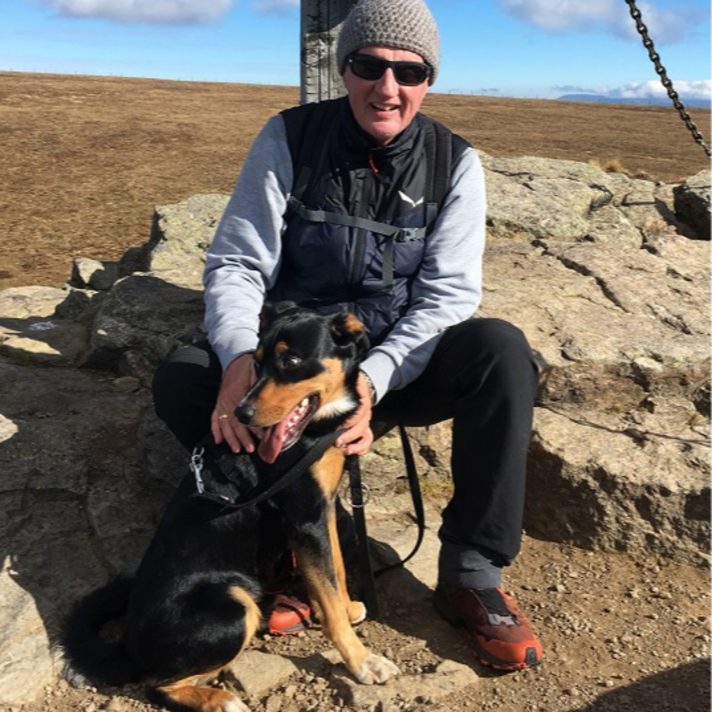 Robert Wally Organisation Hirsch Servo AG XING