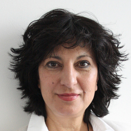 Nasrin Khochsima's profile picture