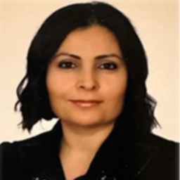 Ayse Acar