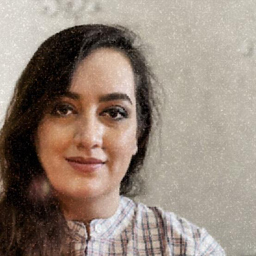 Maryam Dehghan's profile picture