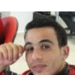 Mohamed Abidi