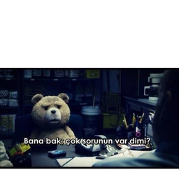 Ceren Atak