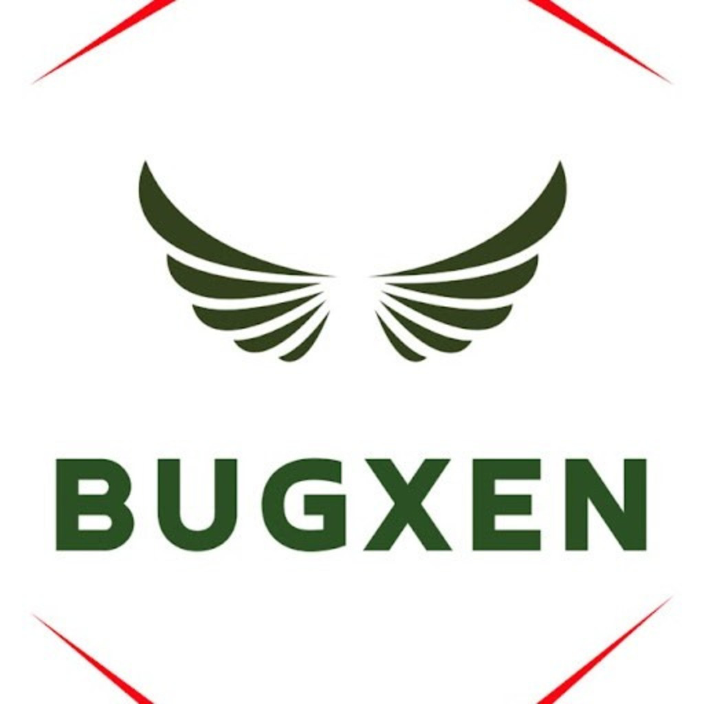 Bugxen Dubai Technical Project Manager Bugxen XING bugxen-dubai-technical-project-manager-bugxen-xing