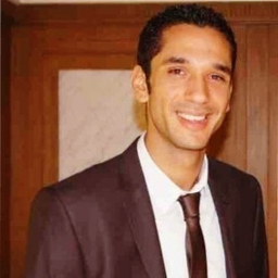 Mohammed Abdelmaksoud Habib