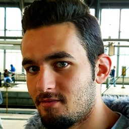 Hani Salem