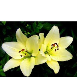 Hari Sudhan
