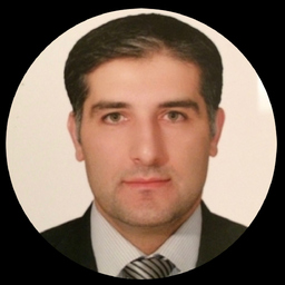 Meysam Soleimani jadidi