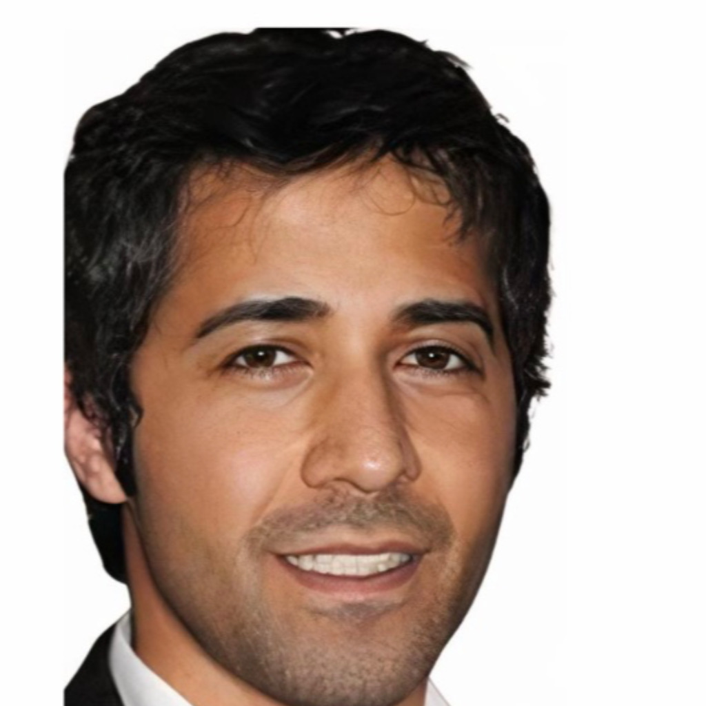 Danis Bayir - Sales Executive DACH Region - China Telecom Europe | XING