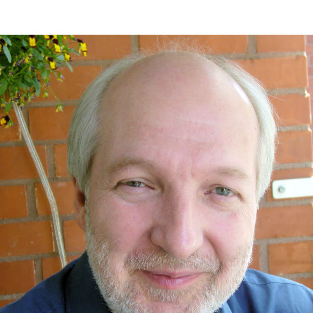 Andreas Bergdolt Manager SAP Finance Technical TE Connectivity XING