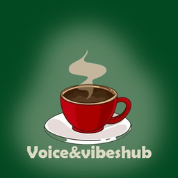 Voice vibes hub