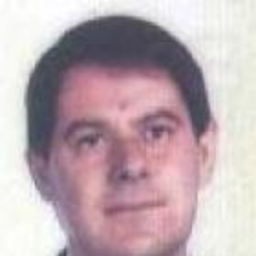 Tomas Calvo Picon