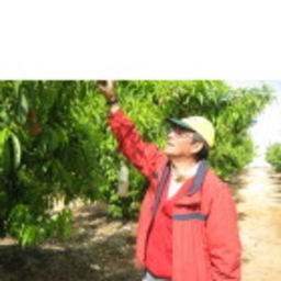 Jorge Galvez Valle