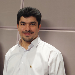 seyed majid mortazavian