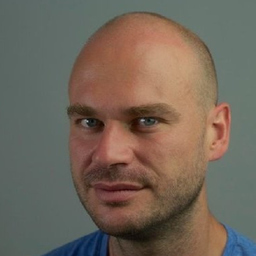Zoltan C. Toth