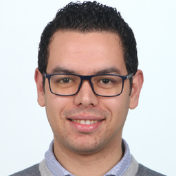 wael mkaddem