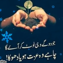 kashif khan