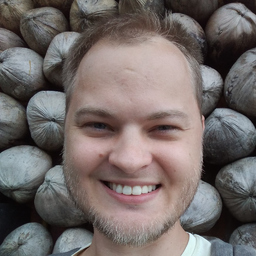 Max Mamontov