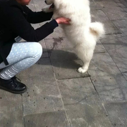 Xiaozhou Zhang