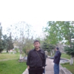 Ali Ergül