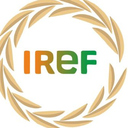 Iref India
