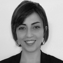 Fereshteh Alikhani