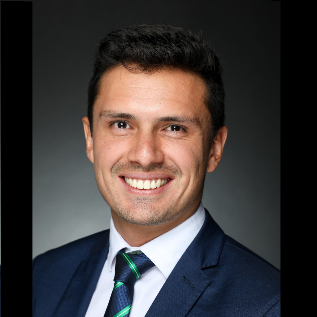 Juan Castro ProjektManager Daimler Financial Services AG XING