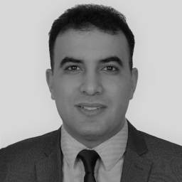 Mohamed Saleh